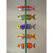 FIIIIISH フィッシュマグネット/フタイロハナゴイ/キンセンイシモチ/ヘルフリッチファイアーフィッシュ/タイガークイーン/クマノミ - fish magnet(bicolour anthias,goldstriped cardinalfish,helfrichi firefish,tiger queen,anemonefish)